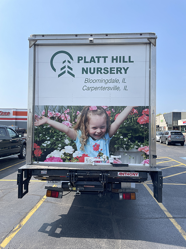 Vehicle Graphics